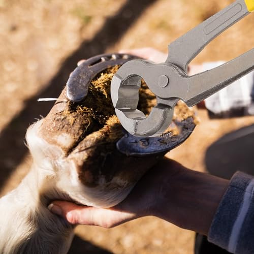 Pince à parer les sabots au quotidien dans votre écurie pour moutons et chevaux