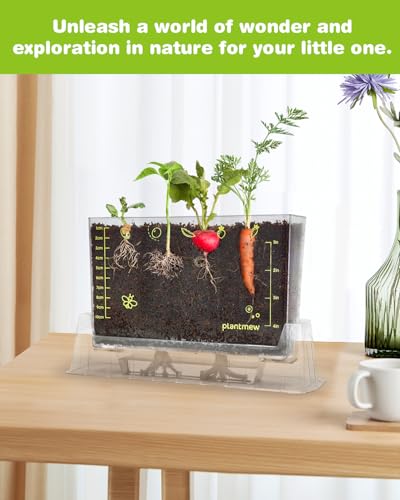 Root Viewer Kit for Kids with 6 Seed Varieties - STEM Science Kits for Kids Age 5-7, 8-12 | Perfect Christmas, Easter, Birthday Gift & School Gardening Project | Learning Educational Gardening Toys - Image 5