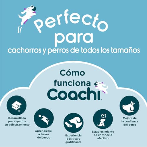 Coachi Tuggi Ball, Robustes Design, leicht, sicher, dehnbarer Bungee-Griff, ideal für alle Hunde & Welpen, Belohnungstraining, Rückruftraining, Unterbinden von Beißen & Kauen. Ideal für Agility.