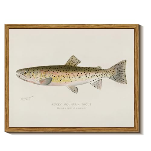 InSimSea Vintage Salmon Framed Wall Art, Rocky Mountain trout Canvas