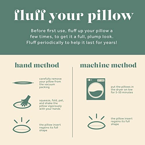 Image of ComfyDown 18x22 Throw Pillow Insert, Down & Feather Fill, 100% Cotton Cover, Made in USA - Premium Soft Lumbar Decorative Pillow Form Sham Stuffer for Bed, Sofa & Couch