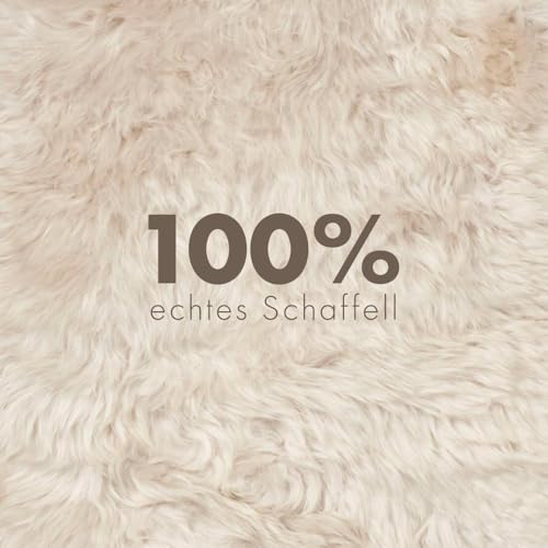 Nordic Sheep Lammfell Langhaarig 90x60 cm | Lammfell Echt für das Sofa, den Stuhl oder rund um den Esstisch | Jedes Lammfell Teppich ist EIN Unikat und von der Natur geschaffen | Farbe: Beige