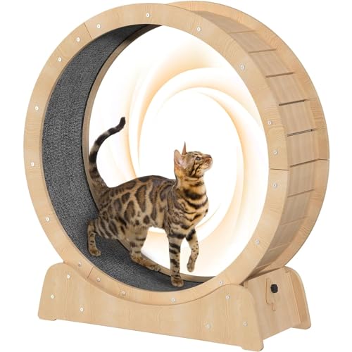 Vocpy Cat Exercise Wheel for Indoor with lock and minimized gap design, Large Cat Treadmill with Carpeted Runway, Cat Running Wheel for Kitty’s Longer Life