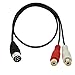 GINTOOYUN Din 8Pin a 2RCA Cavo 9.84 Pollici 8Pin Din Maschio Spina a 2RCA Femmina Cavo Adattatore Audio per Strumento Musicale Apparecchiature Audio Dispositivo MIDI ect (9.84)