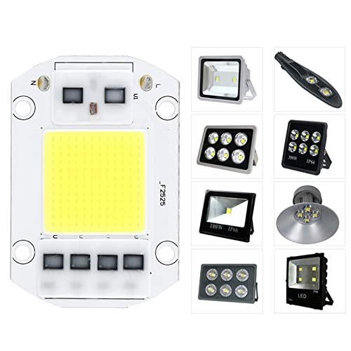 Garosa 100 W 220 V Kaltweiße Hochleistungs-LED-Chip-Hochspannungs-COB-Lichtquelle für Verkehr, Werbung, Innenbereich, Kunst und Aquarium