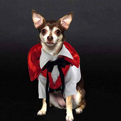 Disfraz de Vampiro para Perro Hemobllo Halloween XL miniatura 7