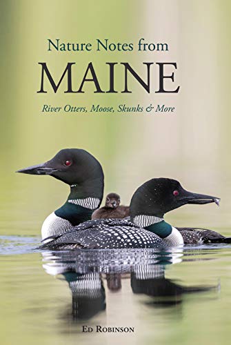 Nature Notes from Maine