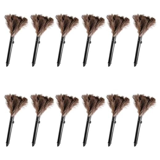 Genuine Ostrich Feather Duster Set of 12