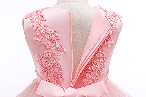 Weileenice Flower Girl Lace Bridesmaid Dress High-Low Embroidery Kids Wedding Party Birthday Tulle Dresses4