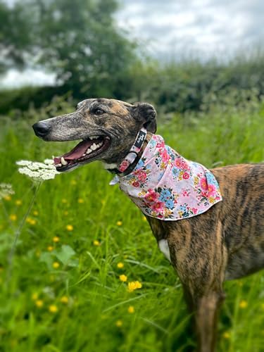 COTTAGE FLORAL DOG COLLAR M, pink, Medium - Image 3