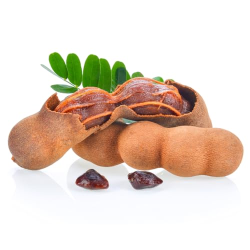 Tamarindos dulces frescos de Tailandia – Dulce 100% natural y sabor agrio, fechas agrias exóticas (450 g)