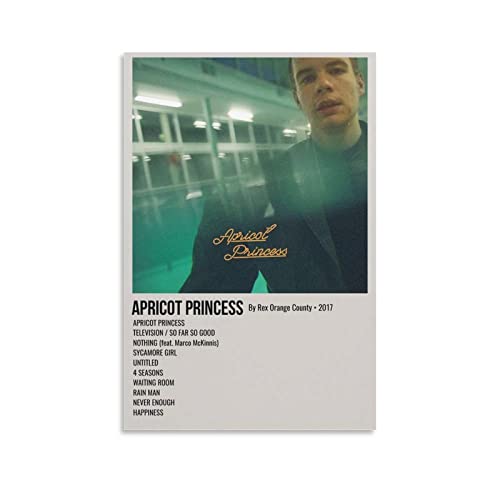 Toile Apricot Princess Rex Orange County pour sublimer un studio de musique ou une chambre