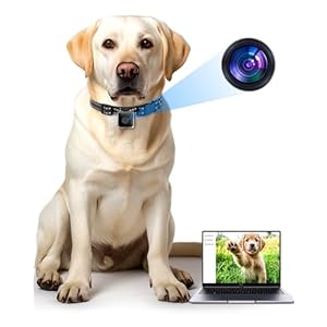 KinetCam Cat/Dog Camera Collar, No APP No WiFi, Cordless Collar Camera for Outdoor Video Recording, M-Size for Medium Dogs(NO SD Card Included)