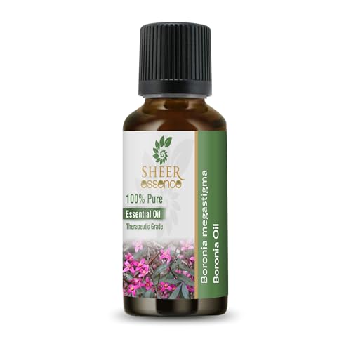 Aceite Esencial Boronia 5ML (0.16 Fl Oz) miniatura 1