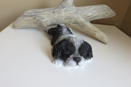 ChosenTreasures4You Shih Tzu Dog Sleeping on Tummy Black and White