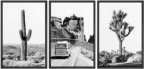 NWT Framed Canvas Print Wall Art Set Black & White Desert Landscape Joshua Tree Nature Wilderness Photography Modern Art Decorative Minimalist Southwest Country Decor for Bedroom - 16"x24"x3 Black