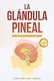  LA GLÁNDULA PINEAL: TODO LO QUE NECESITAS SABER