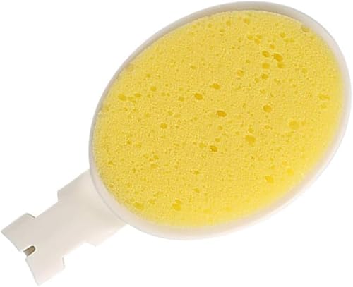 LFJ Cabezal de esponja de repuesto para cepillo de cuerpo de ducha, 3 unidades