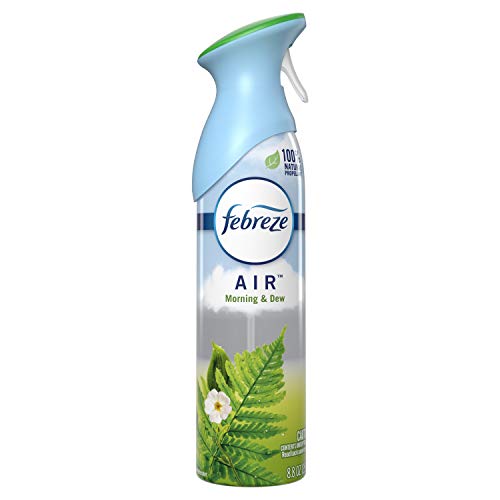 Febreze Air Freshener Spray, Odor Eliminator, Morning and Dew