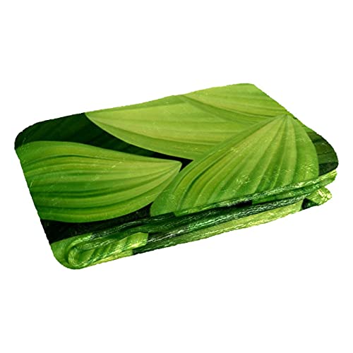 Couverture douce contre le froid pour des nuits chaudes sur le lit
