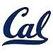 NCAA Team Logo Wall Decal