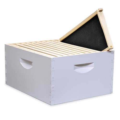 Mann Lake 10-Frame Deep Hive Kit, Fully Assembled 9⅝