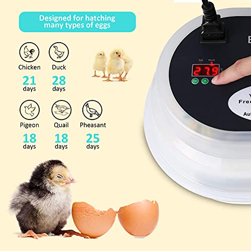 Automatischer Eierinkubator, Automatischer digitaler Inkubator für 12 Eier, Intelligente und präzise Temperatur- und… – Bild 3