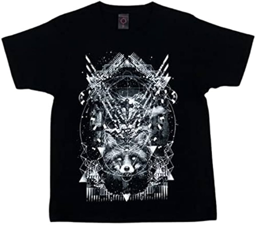 Amazon.co.jp: BABYMETAL （ベイビーメタル）「 WORLD TOUR 2018 in