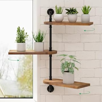 best indoor plant shelves ideas