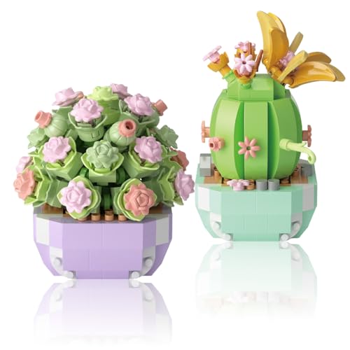 RobLuX 2 Pezzi Mini Fiori Succulenti Bonsai Mattoncini Set Cactus e Piante Succulente Blocchi da Costruzione Adatto per la Decorazione Della Casa Attività fai da te Set di Costruzione Fiori e Piante