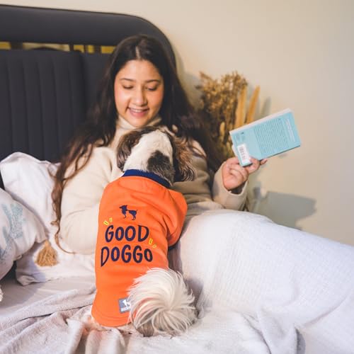 Image of HUFT Good Doggo Pet Sweatshirt - Orange (XL) | Cozy Winter Clothes & Hoodie for Small Dogs | Soft, Warm & Stylish Dog Apparel for Puppies, Beagles, Pugs & All Breeds | Perfect Holiday & Winter Outfit
