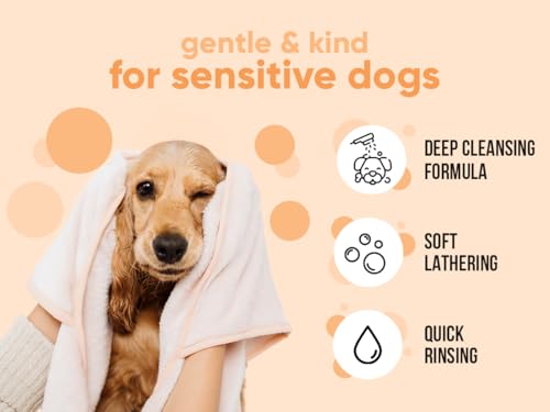 flohshampoo Hund von Buddycare - flohshampoo Hund bei befall Beseitigt Flöhe, Zecken & Milben - Tiefenreinigungsshampoo für Hunde, milben Shampoo flöhe bekämpfen (500ml)