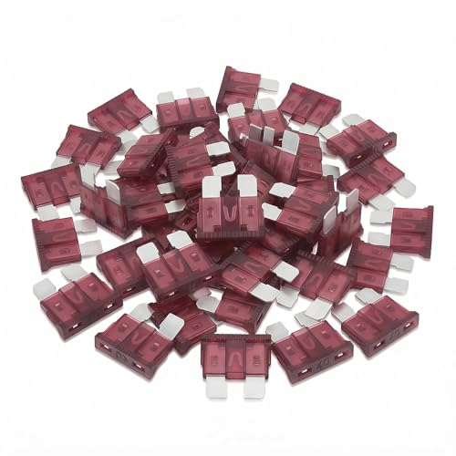 (80Pcs) 40 Amp Standard Fuse 40A Car Blade Fuses for Car/RV/Truck/SUV/Motorcycle/Boat