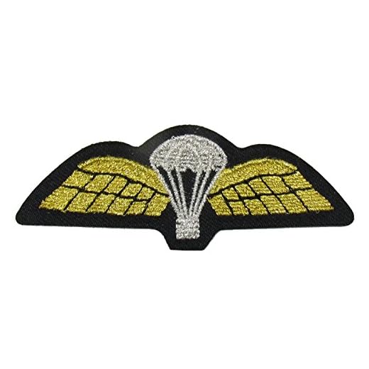 Ailes de parachute à coudre brodées Écusson de l'uniforme militaire de l'armée aérienne R1760