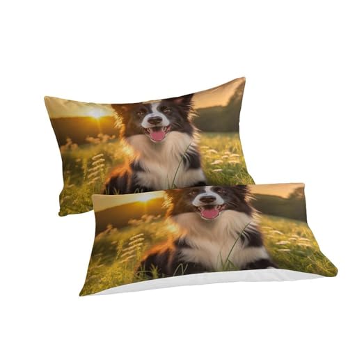 Housse de couette motif berger allemand en microfibre douce lit double