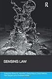 sargento traduccion ingles  Sensing Law (Social Justice)