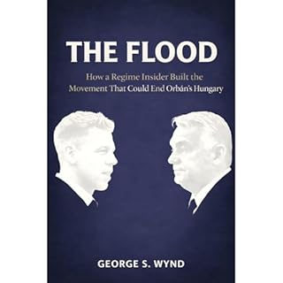 The Flood Audiobook By George S. Wynd cover art