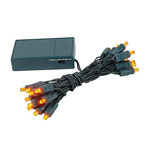 Guirlande 20 LED ambre à piles Novelty Lights avec fil vert de 2,4m pour déco