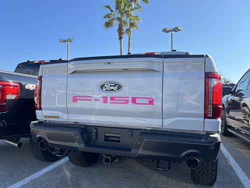 Image of F-150 Tailgate Emblem Letter Inserts - Compatible with 2021-2026 F-150