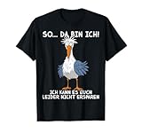 Witzige Seagull Möwe Ich Kann Es Euch Leider Nicht