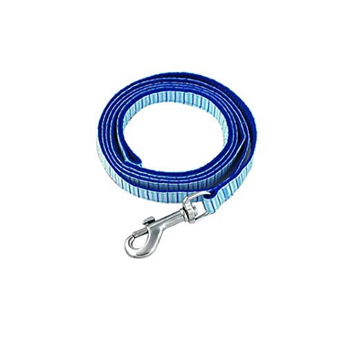Pet Dog Di Nylon Corda Di Rimorchio Vertical Lines Creative Design Document Leggero Corda Di Rimorchio Pet Dog Cat Fuori È Necessario Accessori per Animali 1pc L BLU