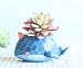 Cuteforyou Cute Animal Shaped Cartoon Home Decoration Succulent Vase Flower Pots