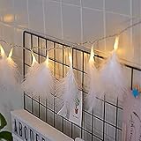 DEDC 3m 20 LED Federn Lichterketten,warmweißes Licht Weiß /Rosa Federn Kette Romantische Deko für Hochzeitsfeier Hausgarten Schlafzimmer Wanddekoration Innen Beleuchte (Weiß)