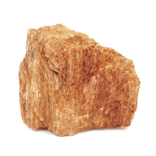 `󂨔C ؖ rTCYiW`PRj P ANAE CAEgf