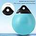Boat Mooring Buoy 2 Pack,15 inch Round Boat Fenders Ball Boat Buoy Ball,Inflatable Boat Fenders Dock Bumper Ball Anchor Buoy Suitable for Yachts Marinas Sailboats Ski Boats(Aqua Blue)