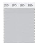 PANTONE SMART 14-4102X Color Swatch Card, Glacier Gray