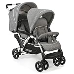 CHIC 4 BABY 275 60 Geschwisterwagen Duo, inkl. Babytragetasche und Regenhaube, Melange grau-weiß