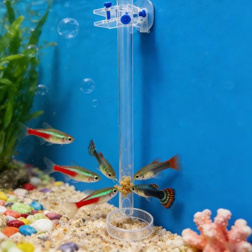 Comedero para camarones transparente que evita restos de comida en el agua 6