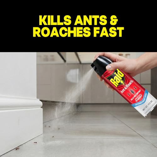 Image of Raid Ant & Roach Killer Spray For Listed Bugs, Keeps Killing for 13 Weeks, Outdoor Fresh Scent, 17.5 oz