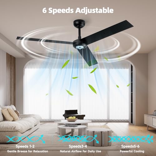 Image of TALOYA 52 inch Modern Ceiling Fan with Lights,Remote Control,3 Metal Blades,Black Finish,6-Speed,Dimmable, Noiseless Reversible DC Motor,Indoor /Outdoor Ceiling Fan for Living Room Bedroom patio